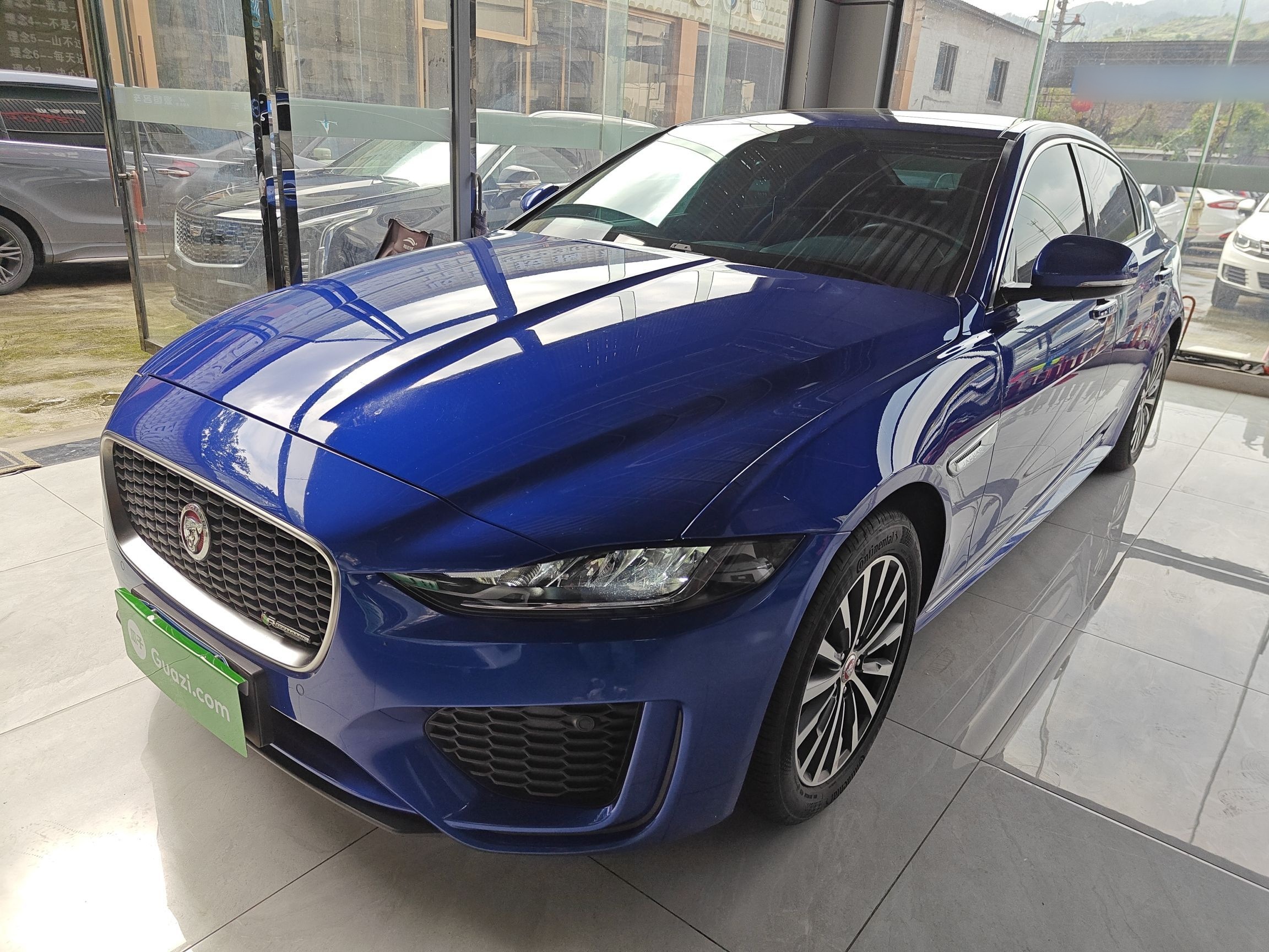 Parte inferior delantera