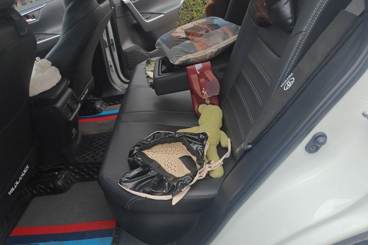 Used Toyota Wildlander 2022 Dual-Motor 2.5L E-CVT 4x4 Luxury PLUS Edition Left Rear Seat