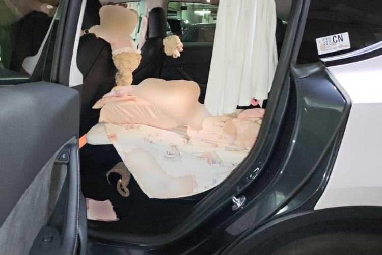 Used Tesla Model Y 2024 Rear-Wheel-Drive Version