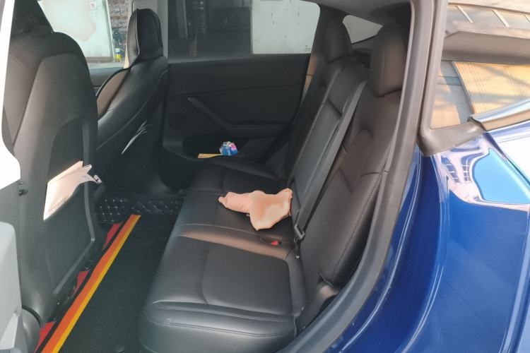 Used Tesla Model Y 2021 Standard Range Rear-Wheel Drive Version
