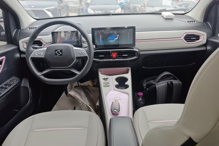 Used SOL E10X 2022 Flower Fairy Design Four-Leaf Clover