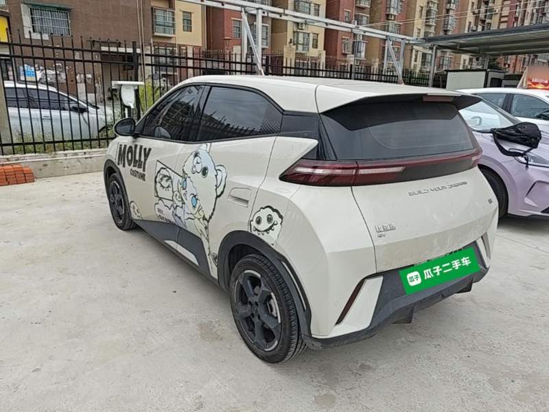Used BYD Seagull 2023 Free Edition — 4