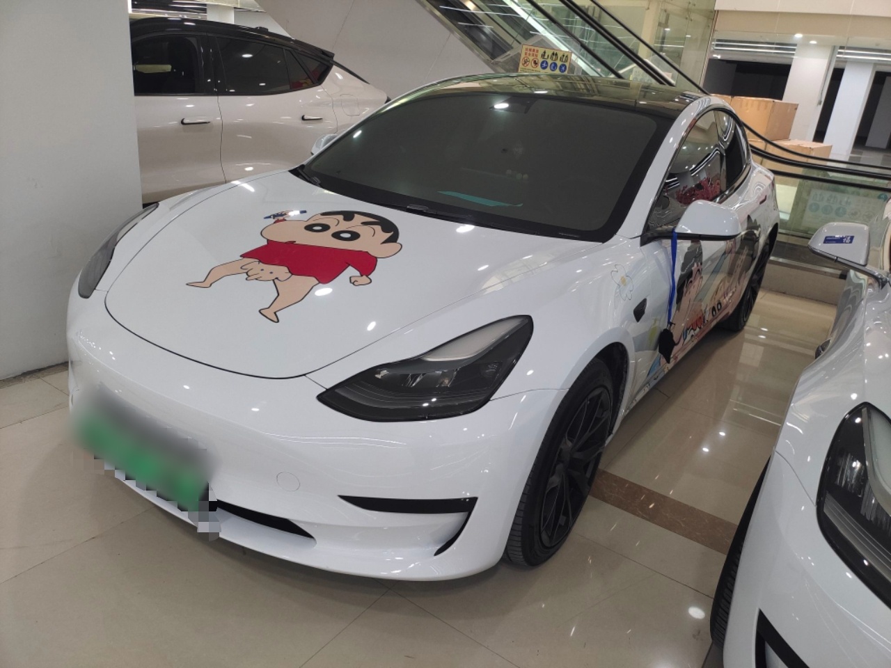 Parte inferior delantera