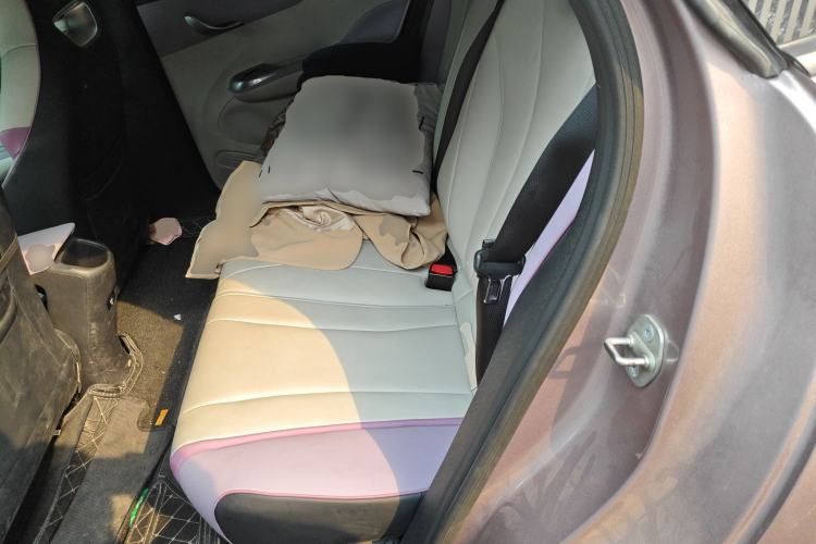 Used BYD Dolphin 2021 401km Knight Edition Left Rear Seat