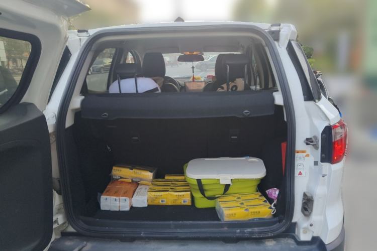 Used Ford EcoSport 2018 1.5L Automatic Elite Edition
