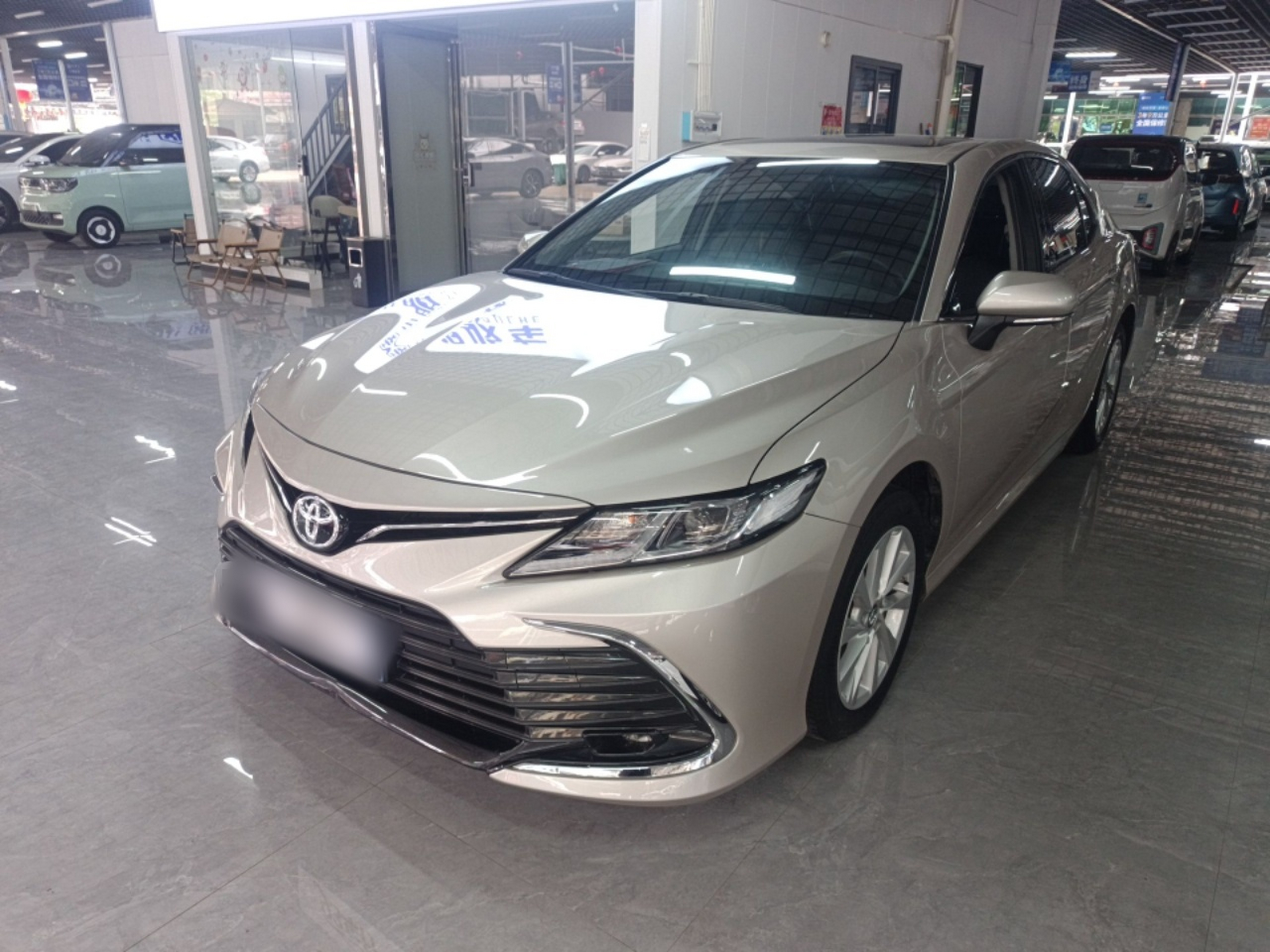 Parte inferior delantera