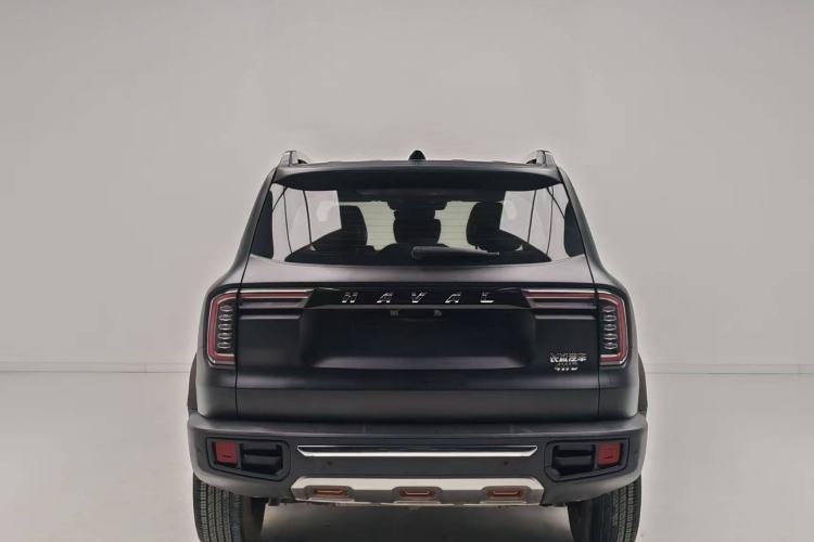 Used Haval DARGO 2021 2.0T DCT 4x4 Chinese Rural Dog Edition