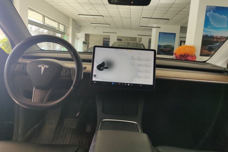 Used Tesla Model Y 2021 Standard Range Rear-Wheel Drive Version
