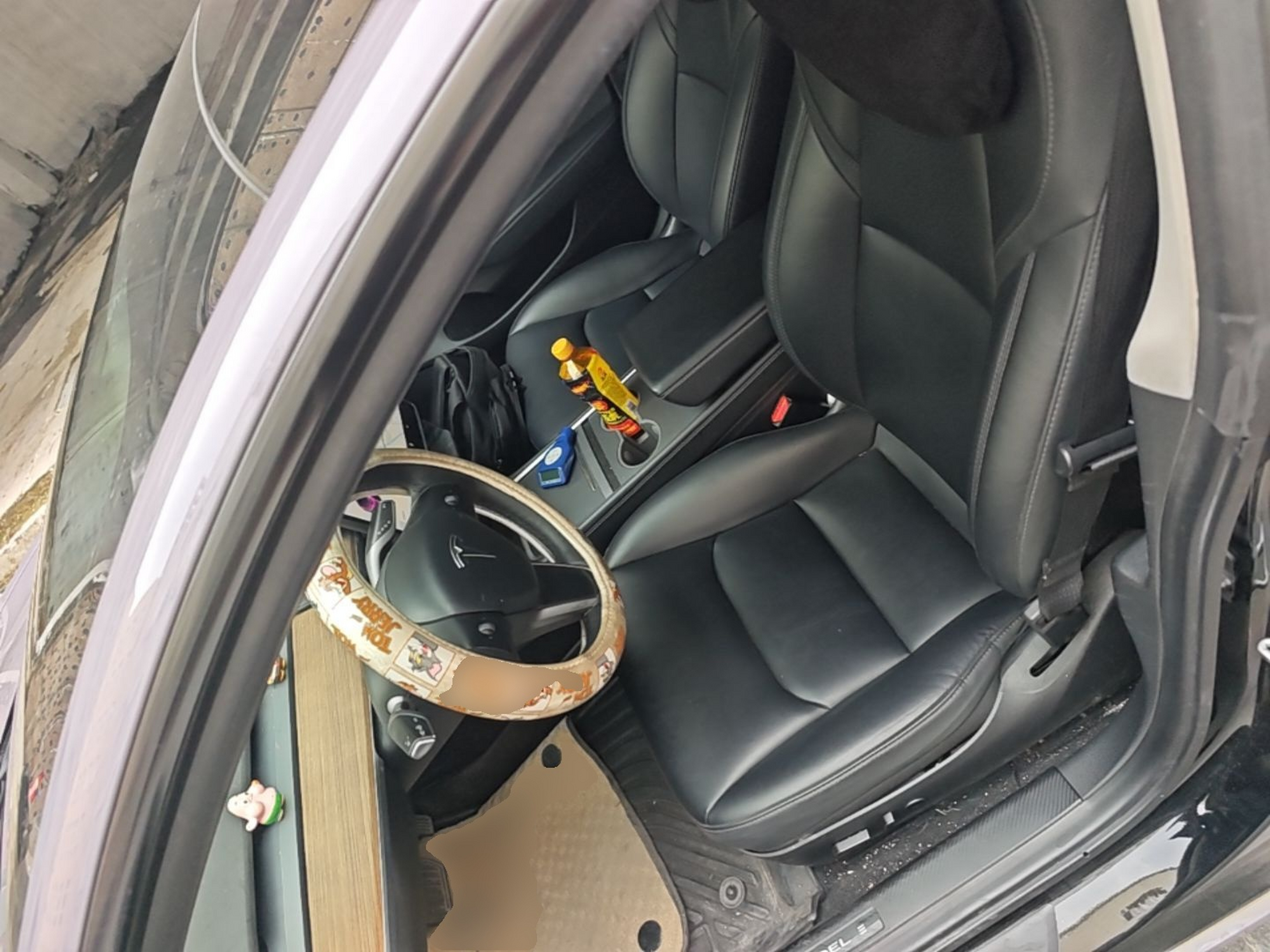 Interior delantero