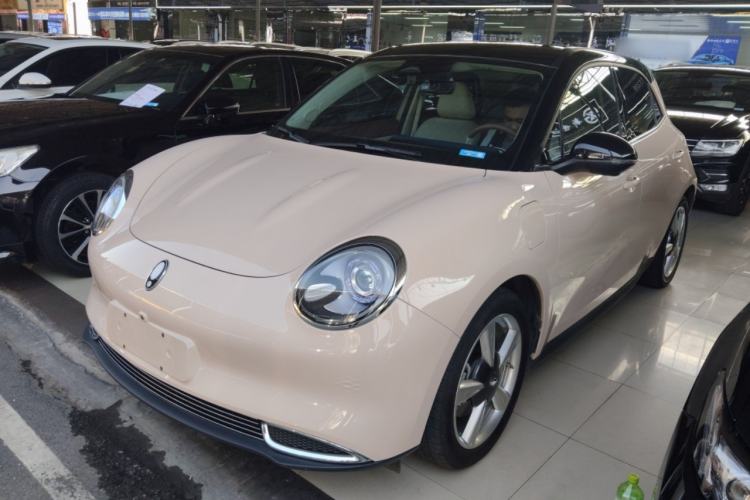 Used ORA Good Cat 2023 401 km Standard Range Luxury Version Lithium Iron Phosphate