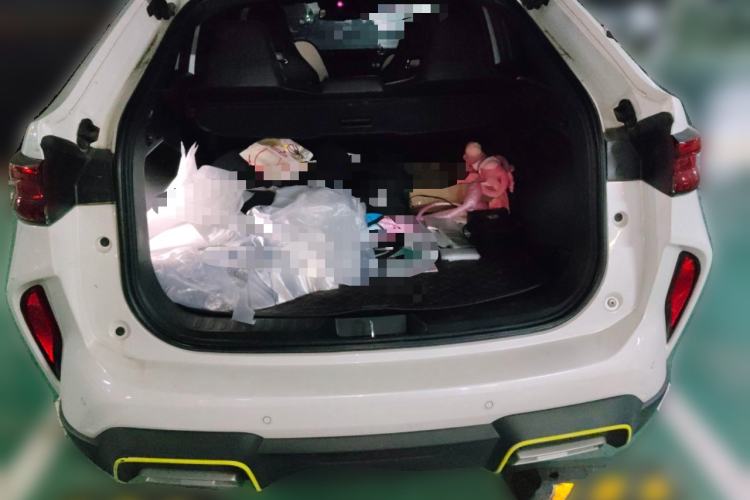 Used Haval H6S 2022 2.0T All-Wheel-Drive Trendy Sports Edition