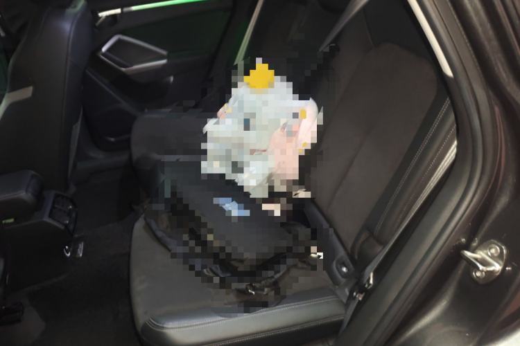 Used Audi Q3 2019 40 TFSI Fashion Dynamic Model
