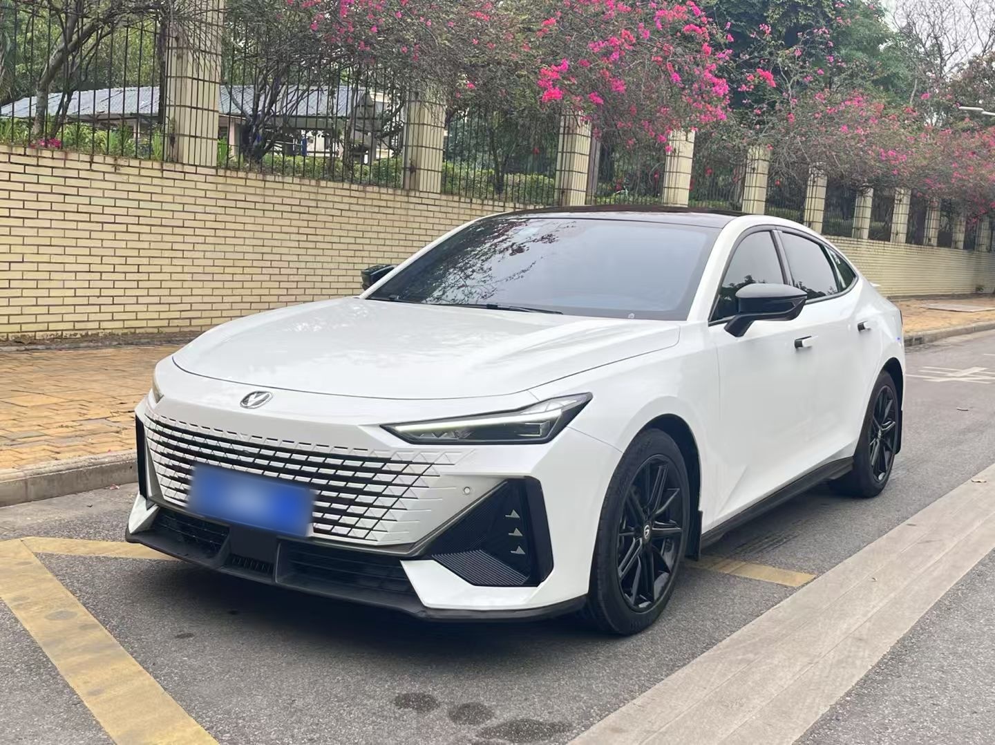 Parte inferior delantera