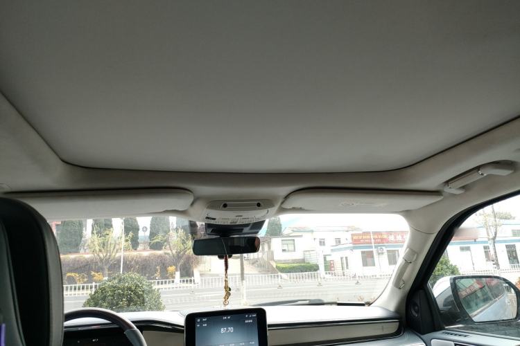 Used Lincoln Navigator 2019 3.5T Presidential Series China VI Standard Headliner