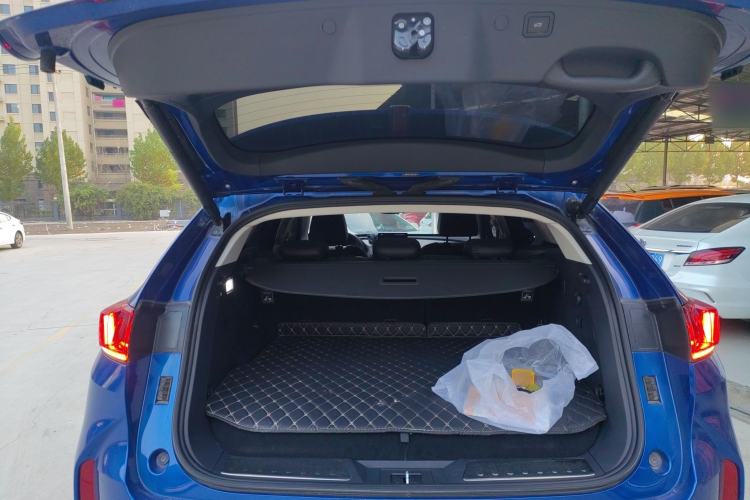 Used Wey P8 2018 2.0T Flagship Model