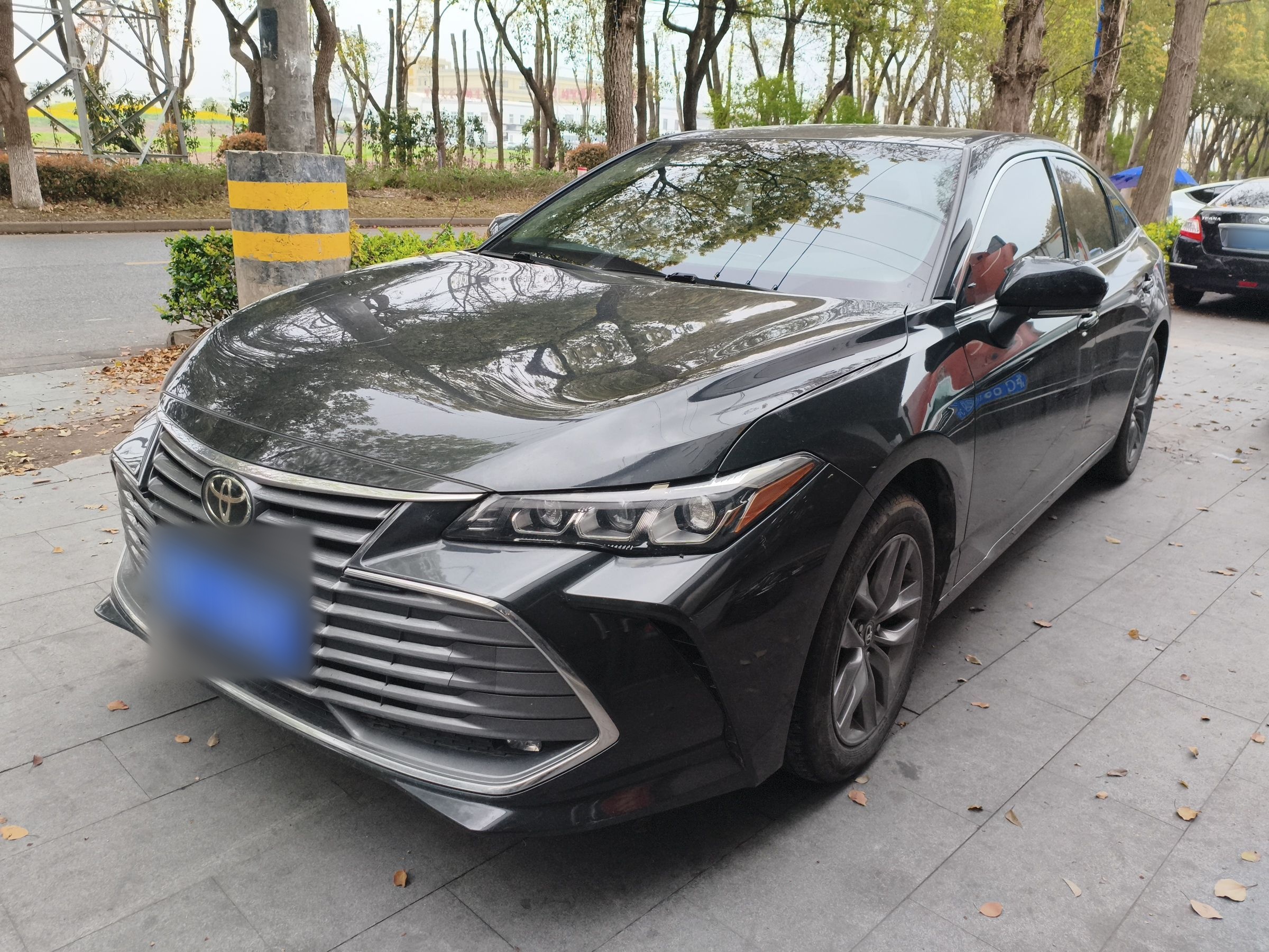 Parte inferior delantera