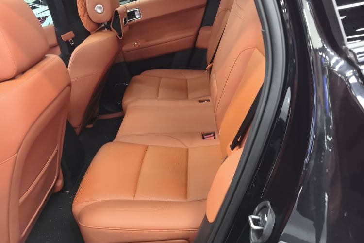 Used Li Auto L6 2024 Max Left Rear Seat