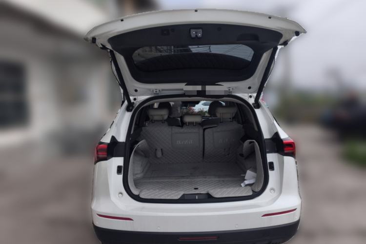 Used Haval H6 2024 1.5T Two-Wheel Drive Max