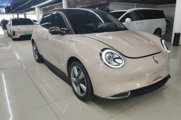 Used ORA Good Cat 2021 400km Standard Range Athena Edition Lithium-Ion Battery
