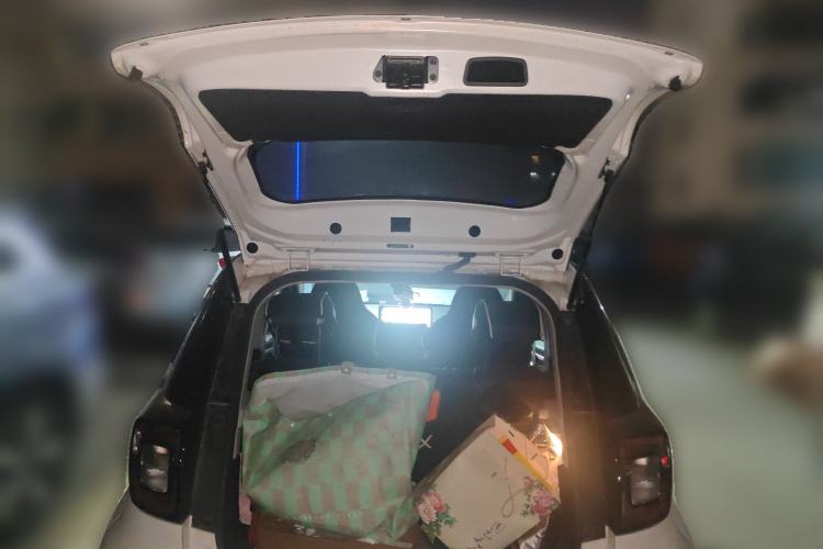 Used SOL E10X 2022 Flower Fairy Design Sunflower
