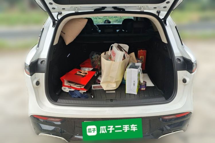 Used VOYAH FREE 2024 Ultra-Long Range Intelligent Driving Version
