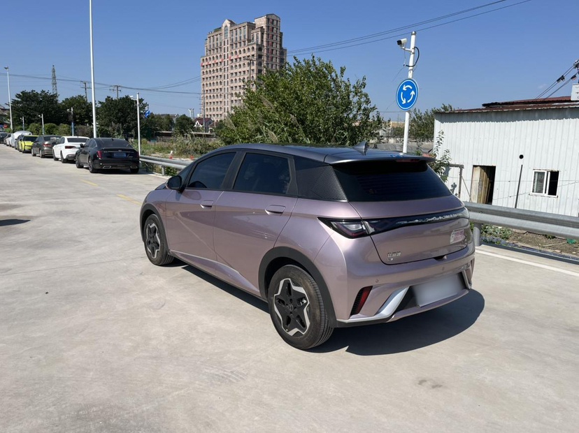 BYD Dolphin 2021 405 km Fashion Edition — снимка 13