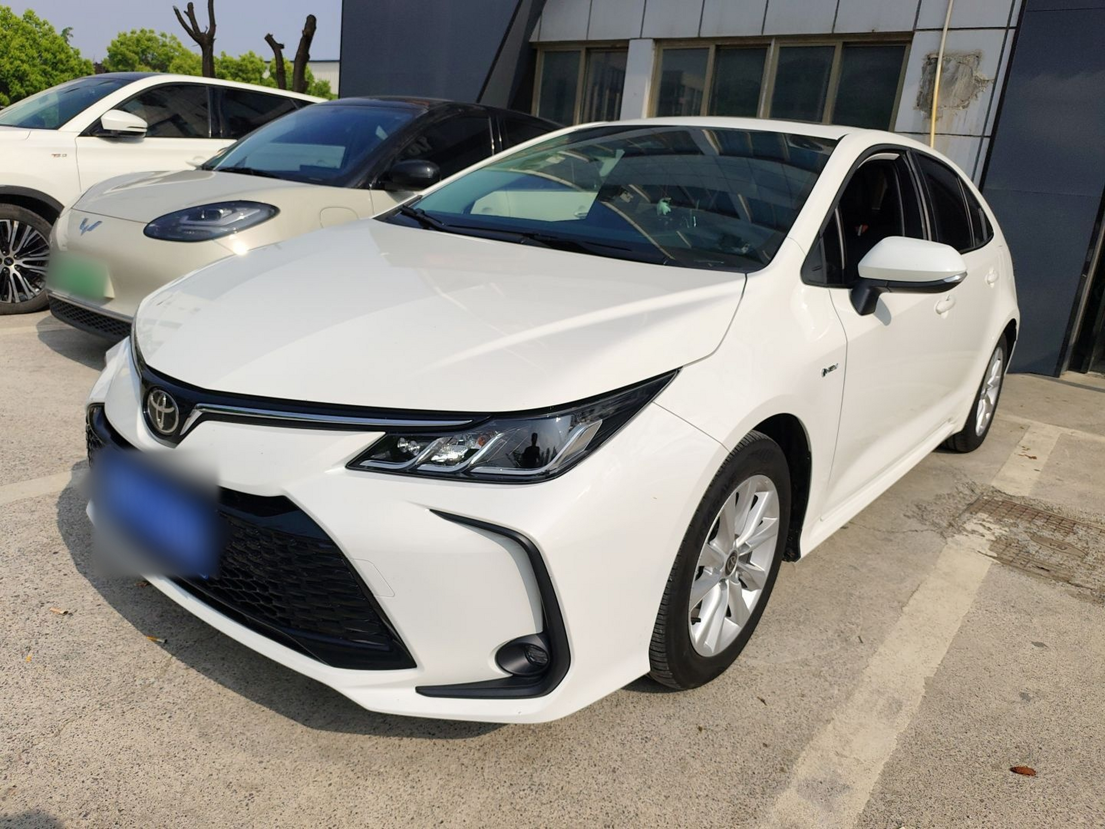 Parte inferior delantera