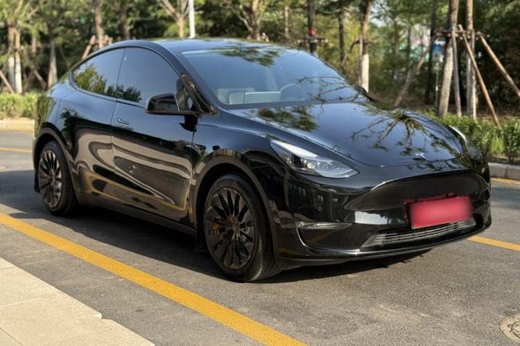 Used Tesla Model Y 2021 Standard Range Rear-Wheel Drive Version