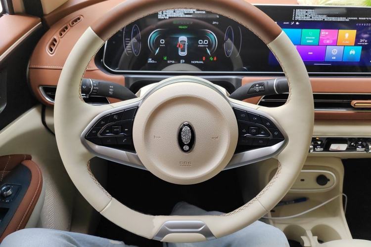 Used ORA Good Cat 2023 401 km Standard Range Prestige Version Lithium Iron Phosphate
