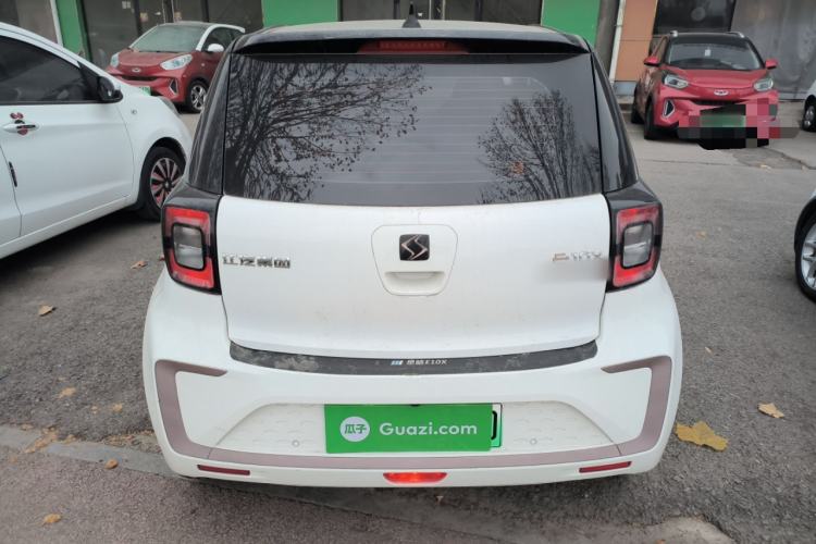 Used SOL E10X 2022 Flower Fairy Style Baby's Breath
