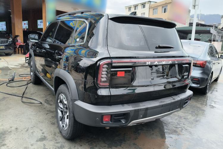 Used Haval DARGO 2024 2.0T DCT Chinese Rural Dog Edition
