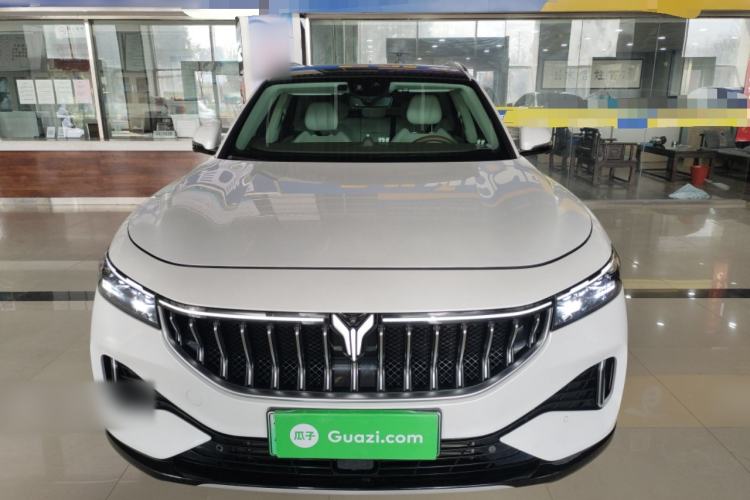 Used VOYAH FREE 2021 Four-Wheel Drive Standard Range-Extended Exclusive Luxury Package Front