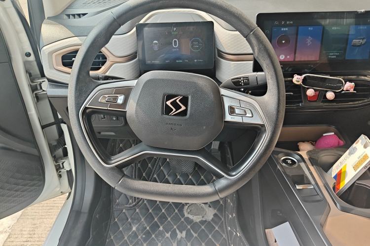 Used SOL E10X 2022 Flower Fairy Design Four-Leaf Clover