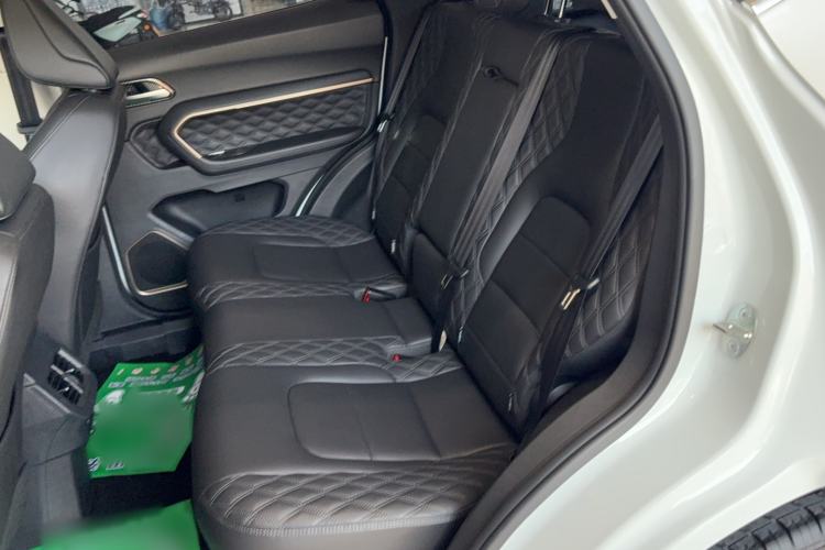 Used Haval H6 2020 1.5 GDIT Automatic Platinum Luxury Edition Left Rear Seat