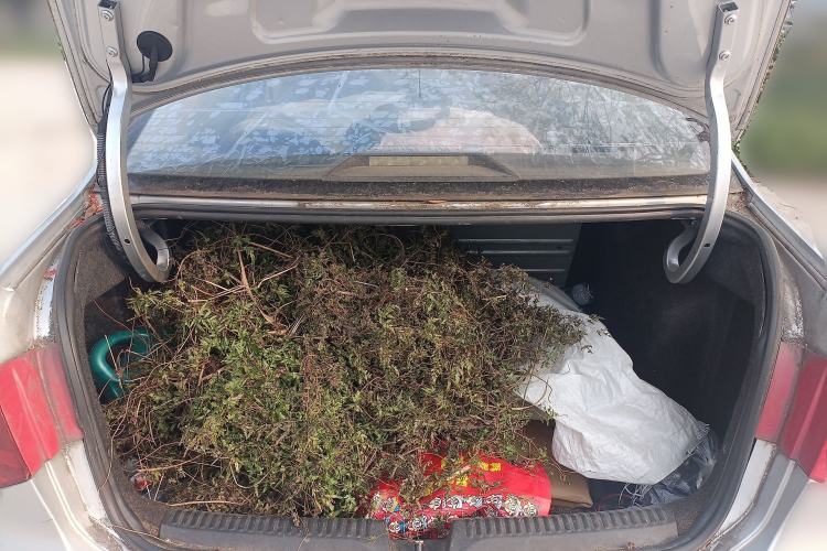 Used Volkswagen Jetta 2015 Value Edition 1.6L Manual Fashionable Style