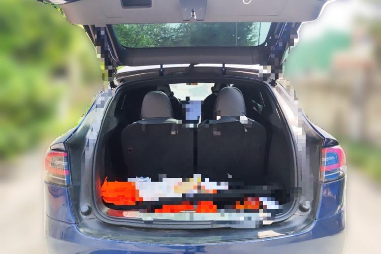 Used Tesla Model X 2017 X 100D Long Range Edition
