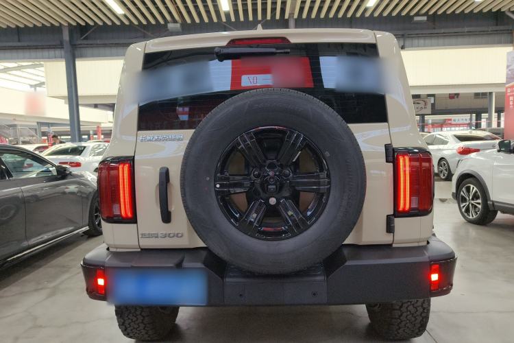 Used Tank 300 2025 2.4T Diesel Version
