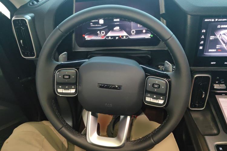 Used Haval DARGO 2024 2.0T DCT Chinese Rural Dog Edition
