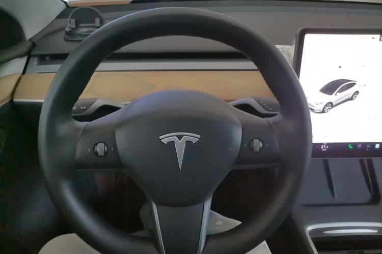 Used Tesla Model Y 2021 Standard Range Rear-Wheel Drive Version
