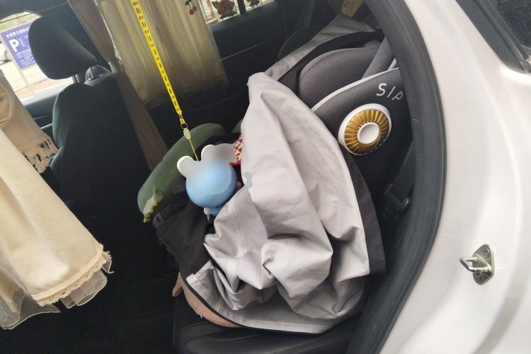 Used Geely Auto Monjaro L 2024 2.0TD High-Power Automatic Two-Wheel Drive Skyline Edition Left Rear Seat