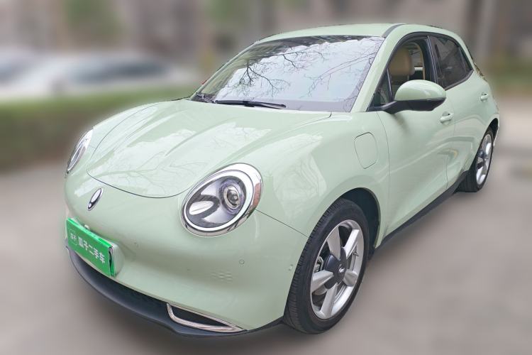 Used ORA Good Cat 2022 Morandi Edition 400km Standard Range Luxury Version Lithium-Ion Battery