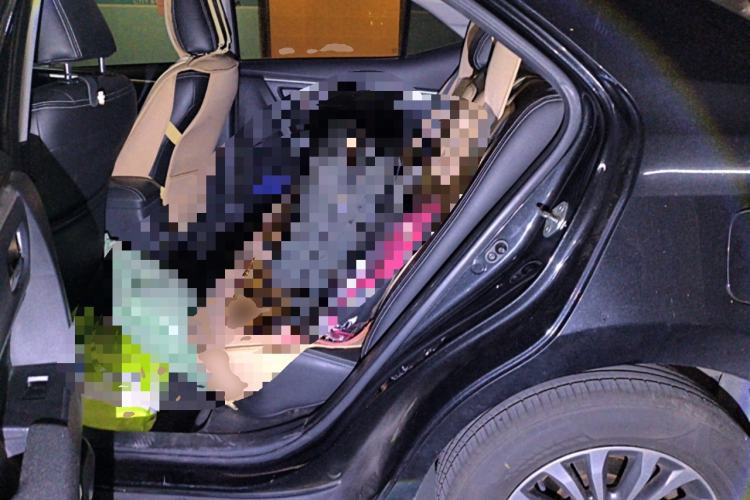 Used Toyota Corolla 2017 Revised Version 1.2T S-CVT GL Left Rear Seat