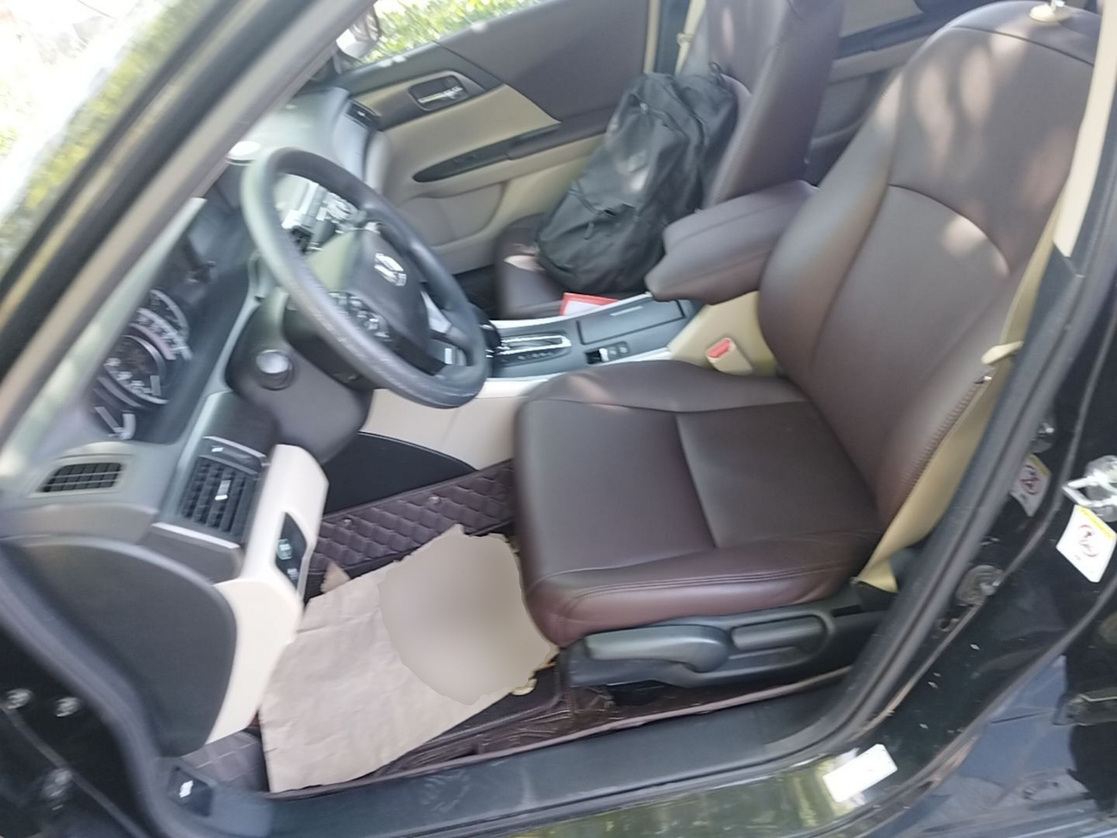 Interior delantero