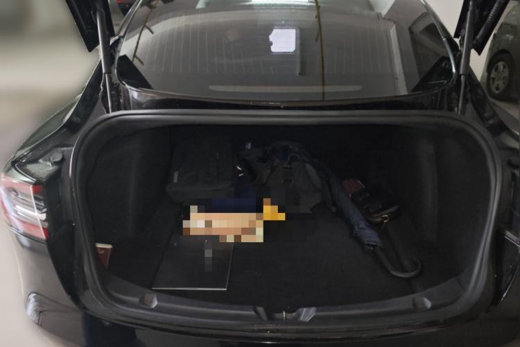 Used Tesla Model 3 (Import) 2019 Long-Range Rear-Wheel-Drive Version
