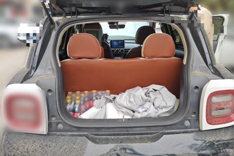 Used ORA Black Cat 2021 351 km Luxury Version Trunk