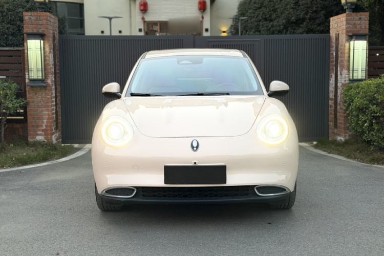 Used ORA Good Cat 2024 401 km Luxury Version