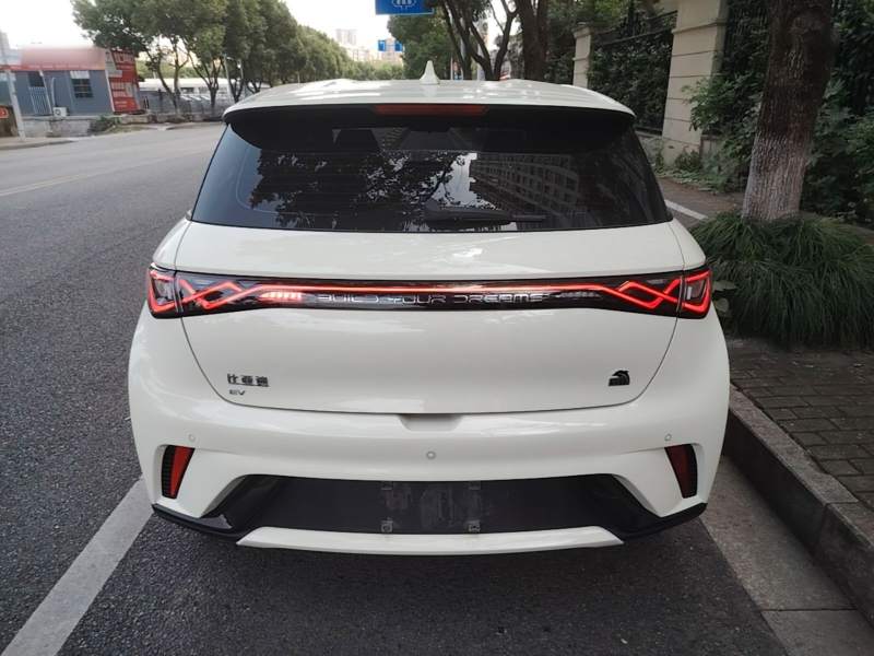 Used BYD Dolphin 2023 420 km Free Version — 5
