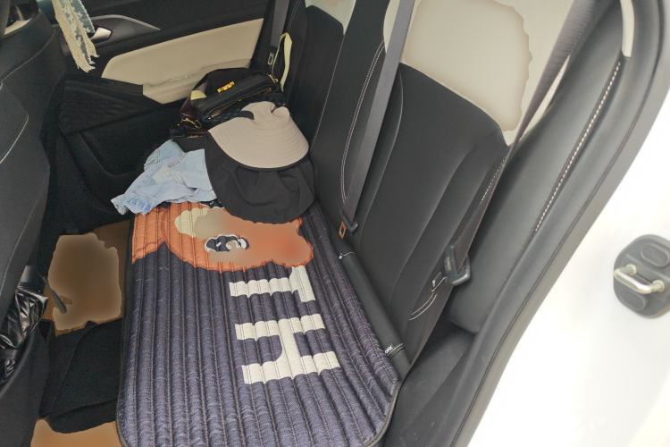 Used Geometry E Firefly 2023 401KM Linglong Tiger 5-Seater Left Rear Seat