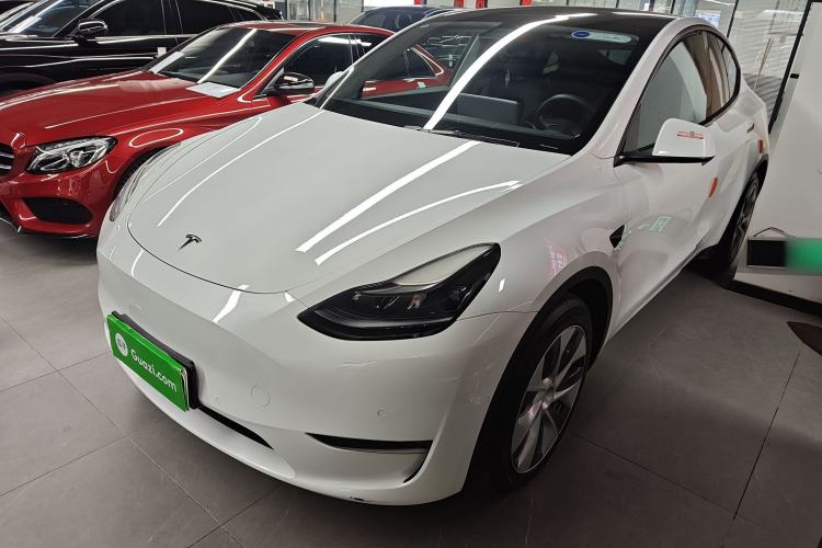 Used Tesla Model Y 2021 Standard Range Rear-Wheel Drive Version
