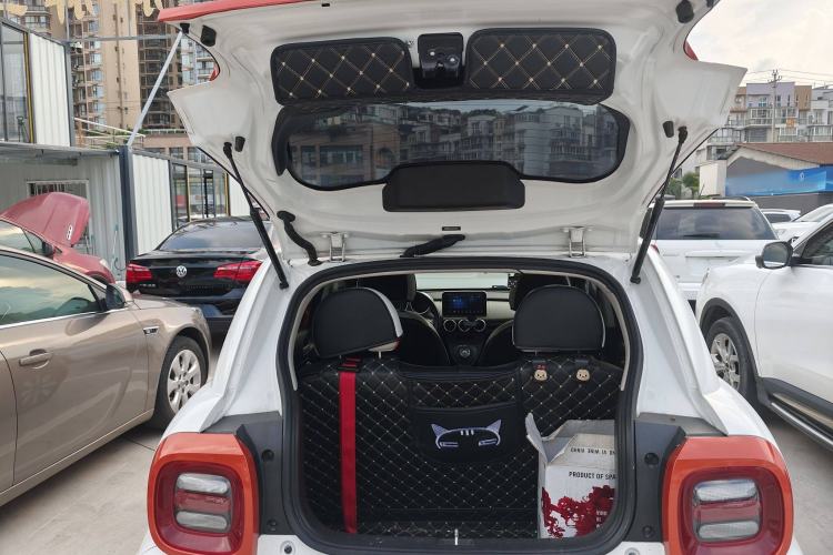 Used ORA Black Cat 2021 351 km Luxury Version